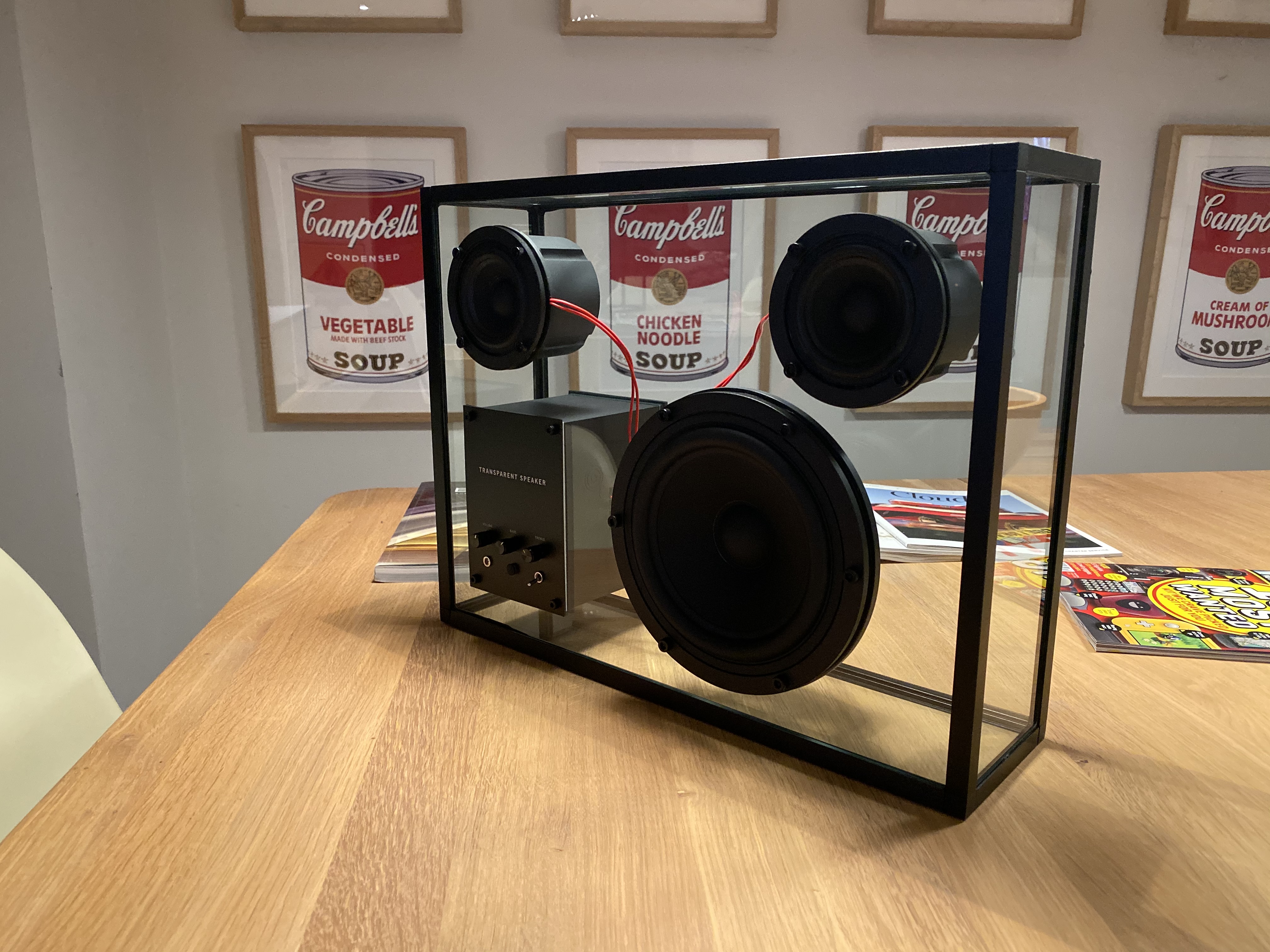 Transparent Speaker verdict