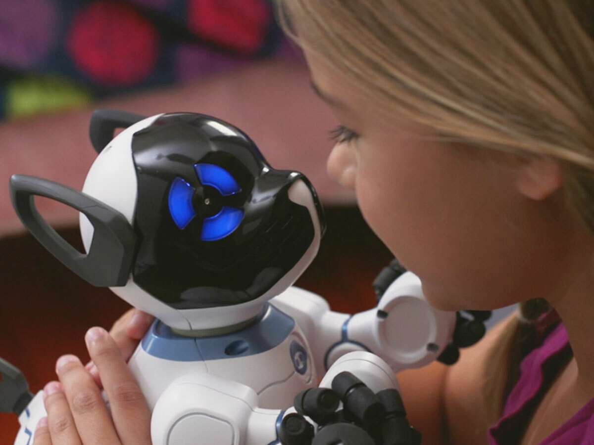 1) CHiP the robot dog (from US$169)