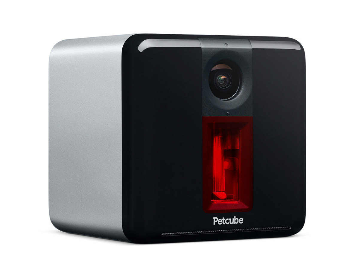 11) Petcube Play (£149)