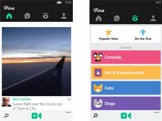 Vine