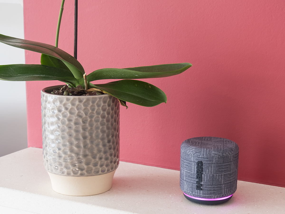 Fabriq Bluetooth speaker with Alexa Verdict