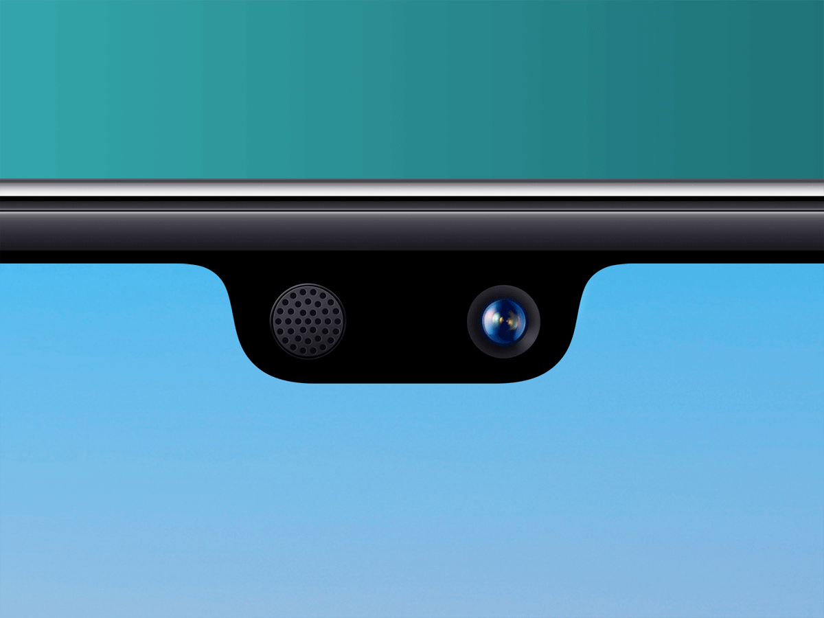 1) They both have a notch
