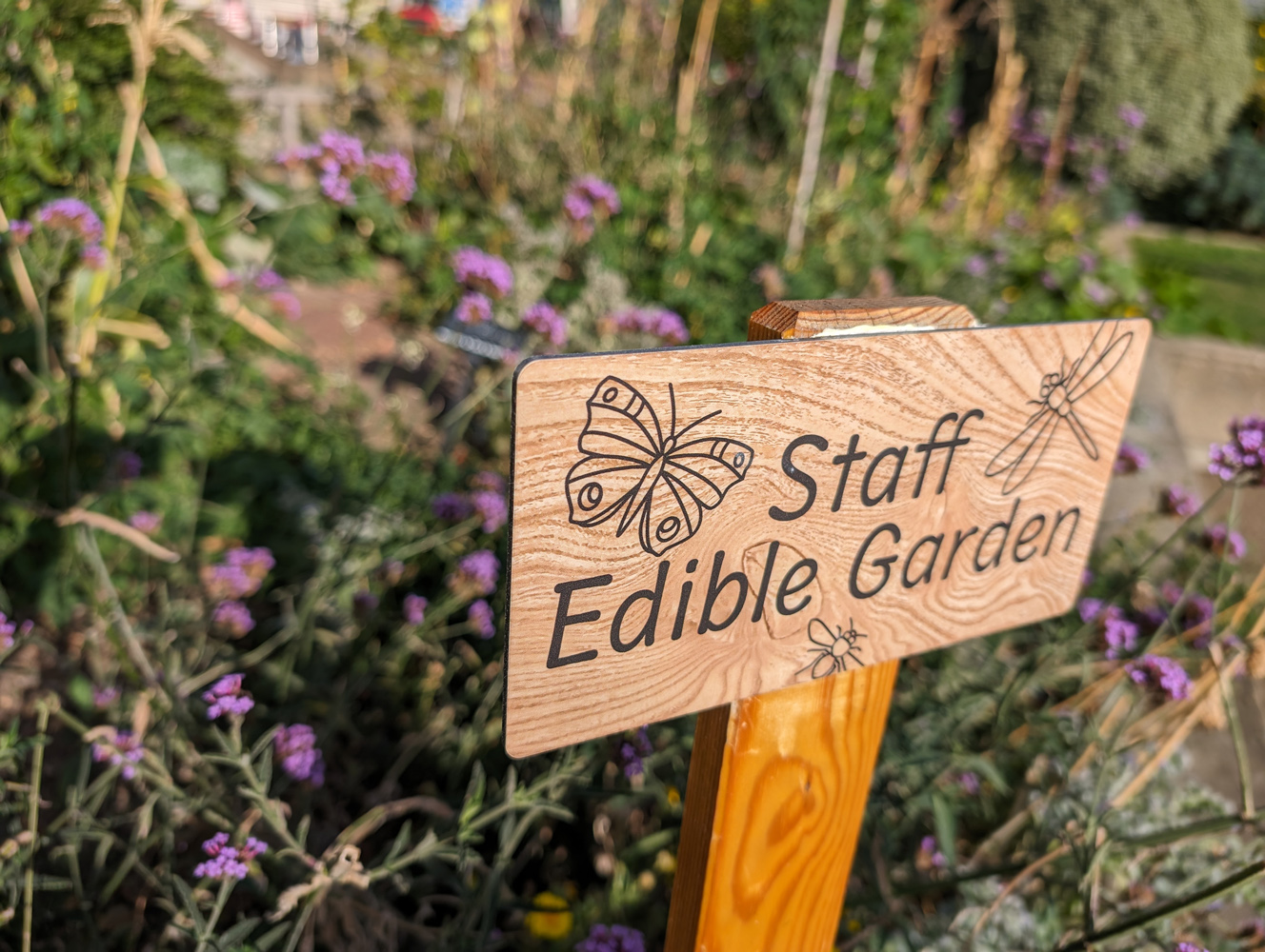 Google Pixel 8 Pro camera samples garden