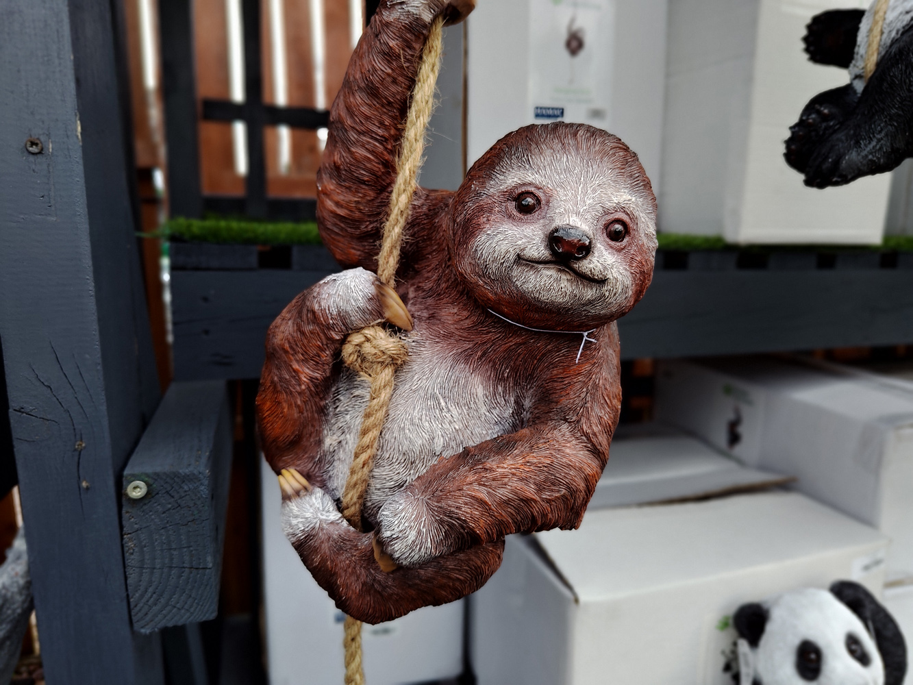 Asus Zenfone 11 Ultra camera samples sloth