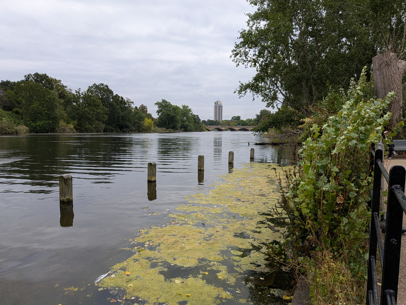 Google Pixel 9 Pro Fold camera samples serpentine 1x