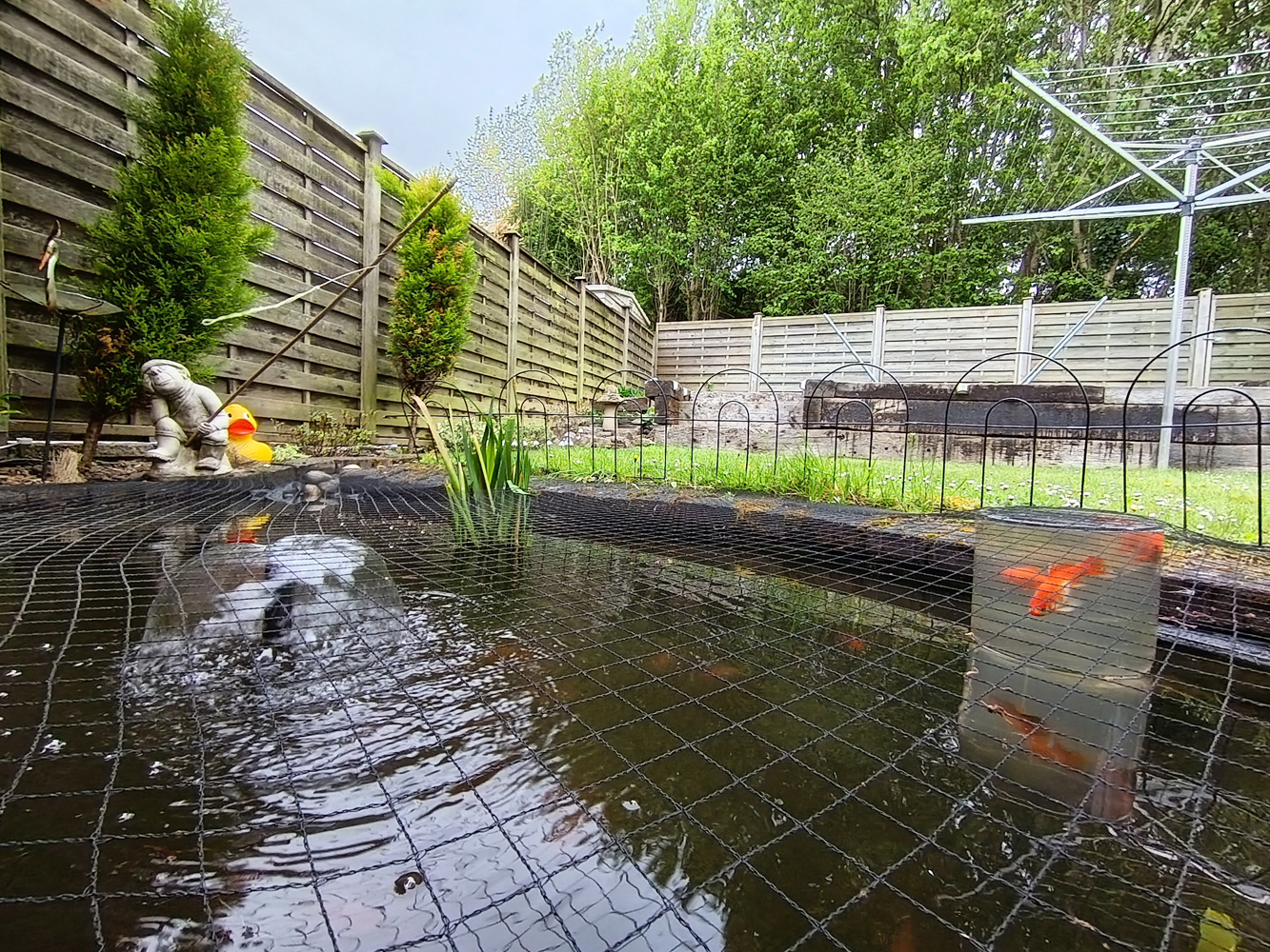 Honor 400 Lite camera samples pond ultrawide