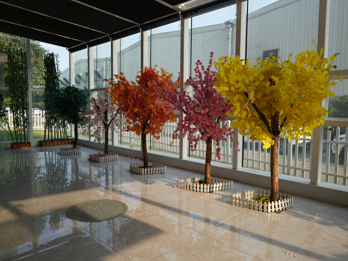 OnePlus photography lab 2025 seasons