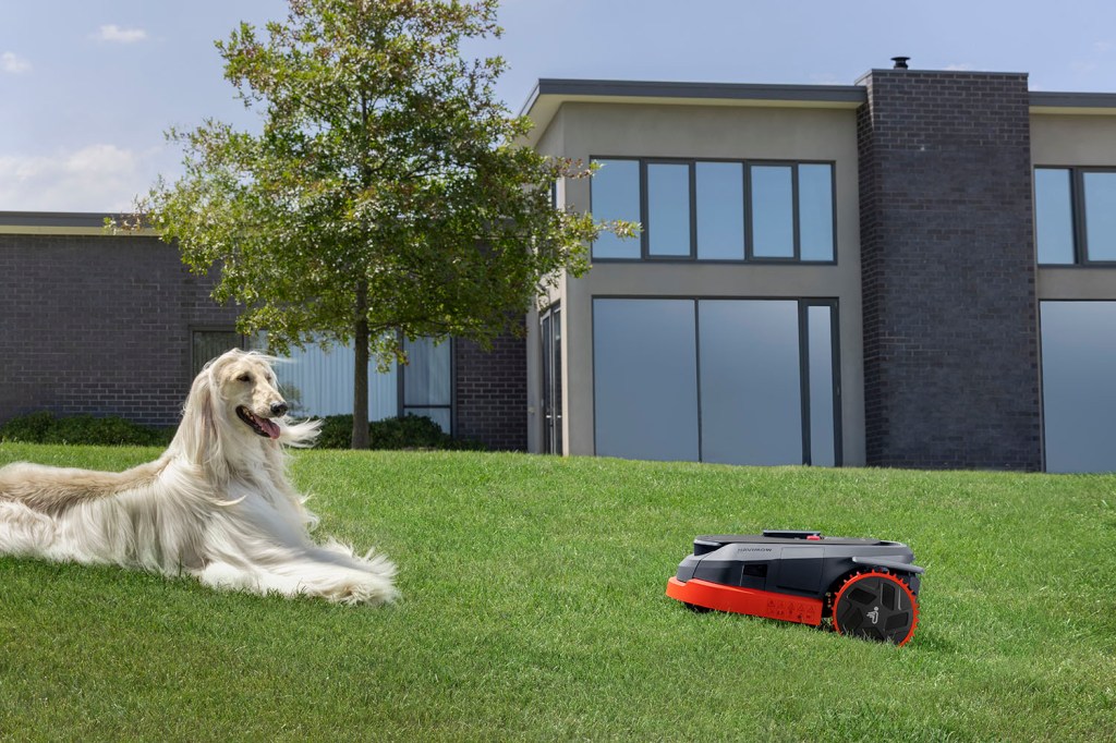 Segway Navimow X3 robotic mower about to recognise and avoid a dog while mowing lawn