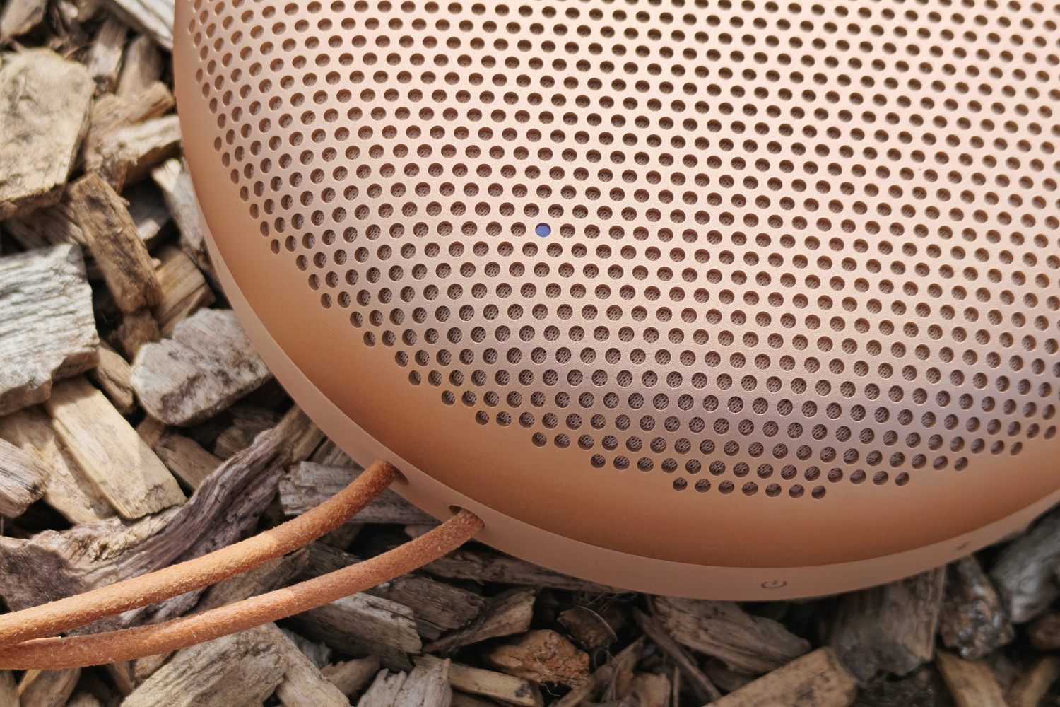 Bang Olufsen Beosound A1 3rd gen review LED