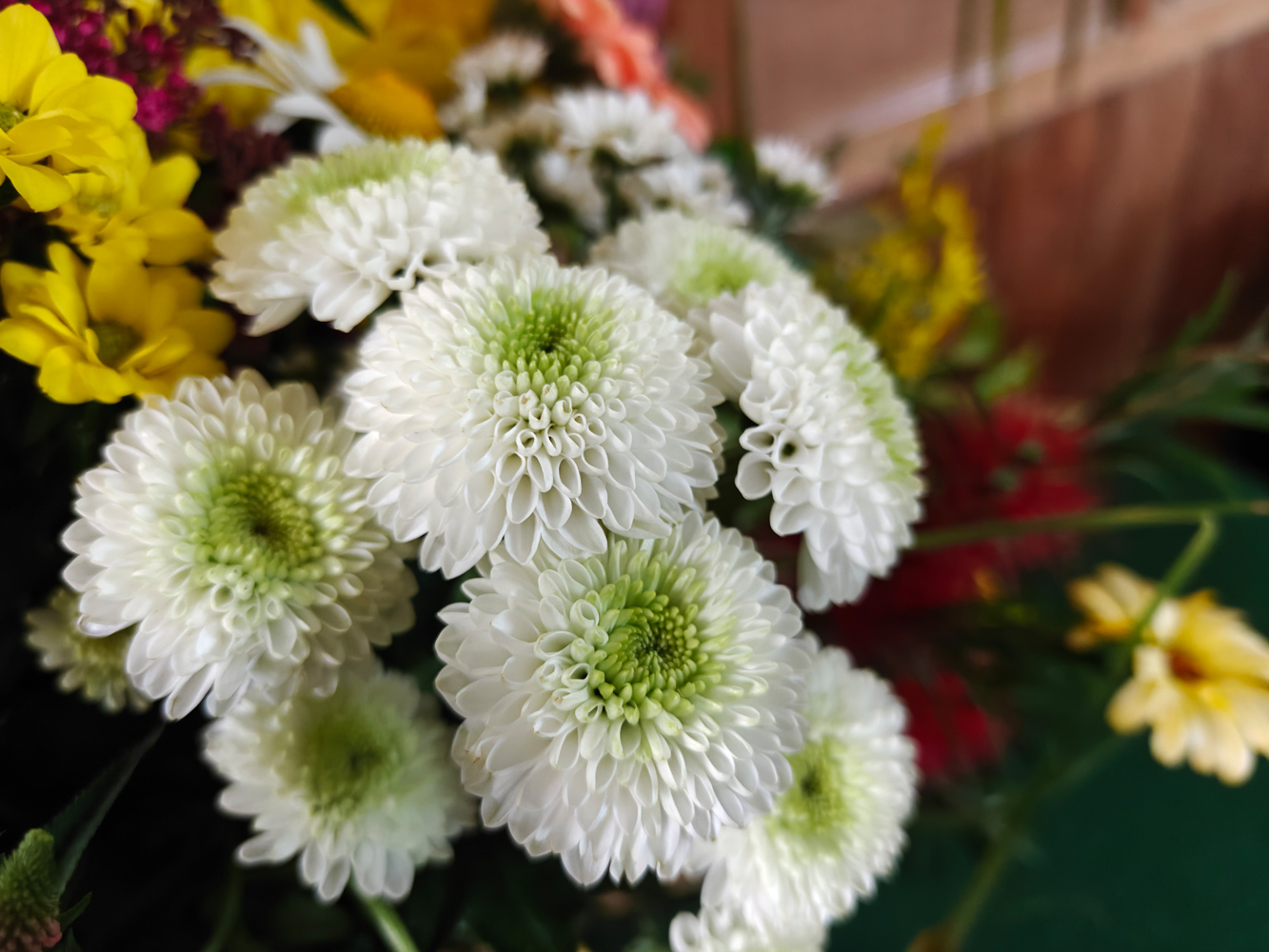 OnePlus Nord camera flowers